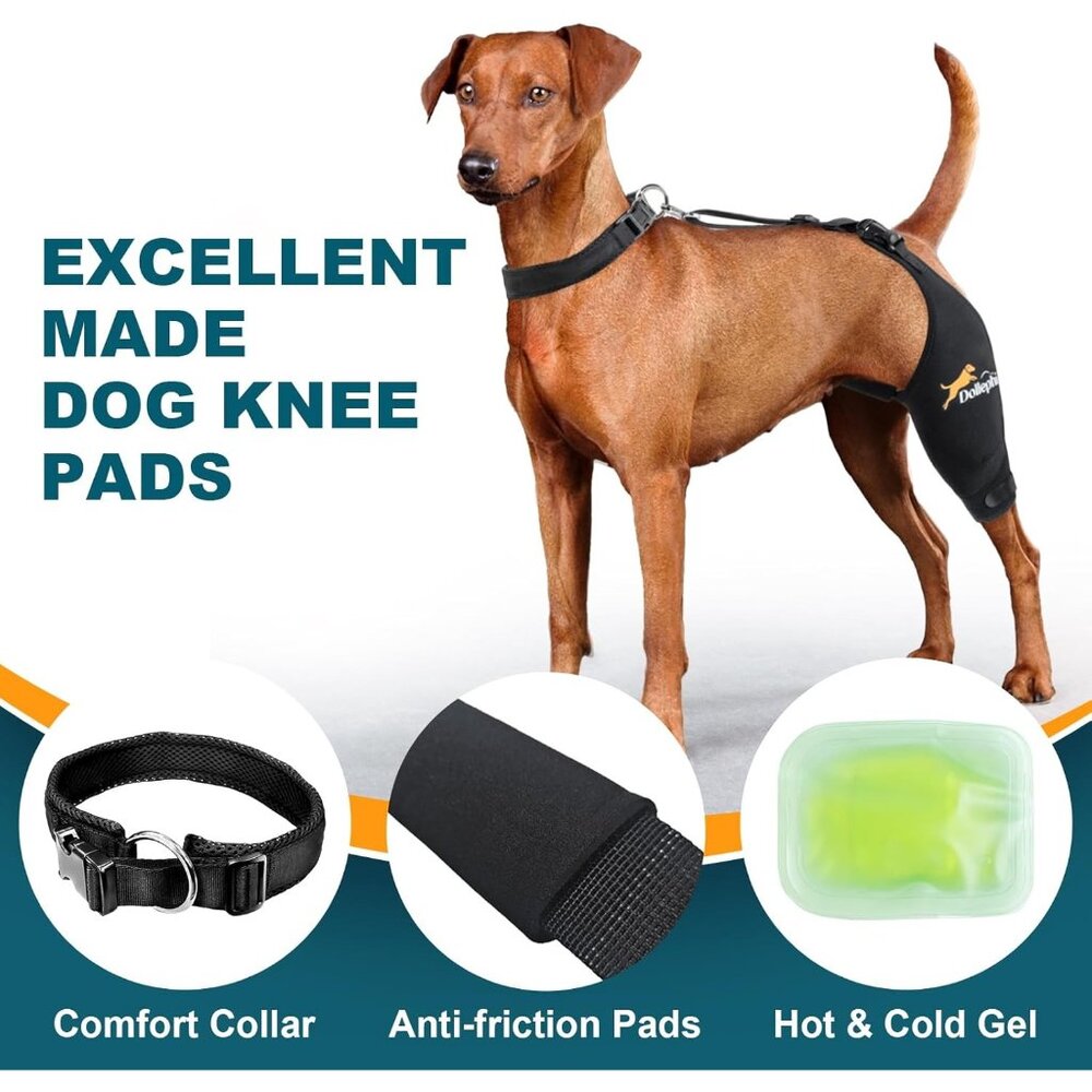Dog Knee Brace for Torn ACL Hind Leg, Hot/Cold Compress for Patella Dislocation - Picture 5 of 6